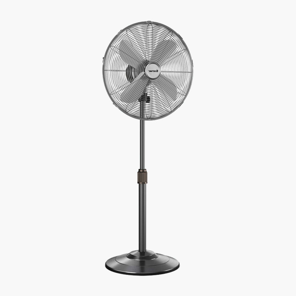 Fans